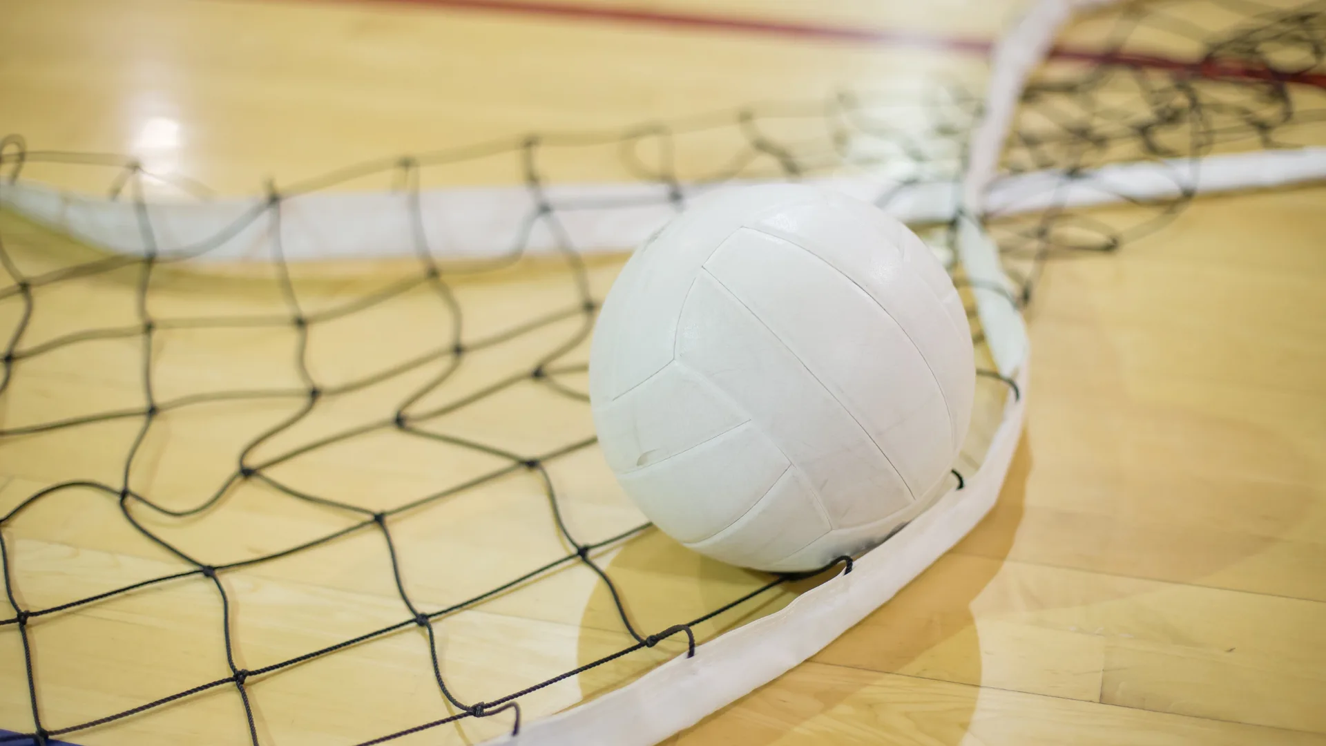 Find a Volleyball Venue Near You