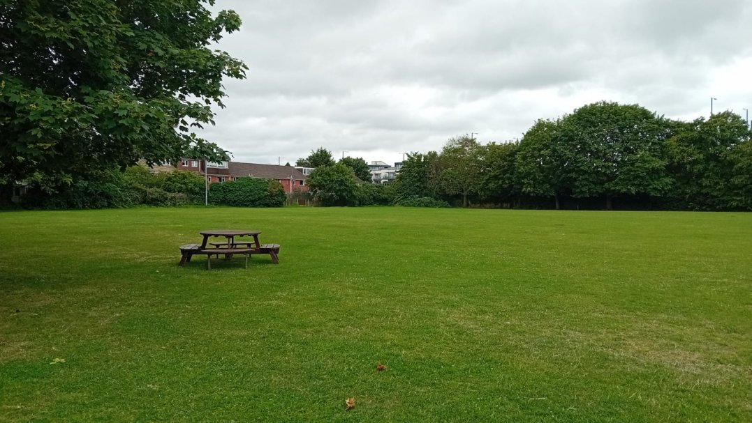 Grass Field at Windsor Boys School in Windsor