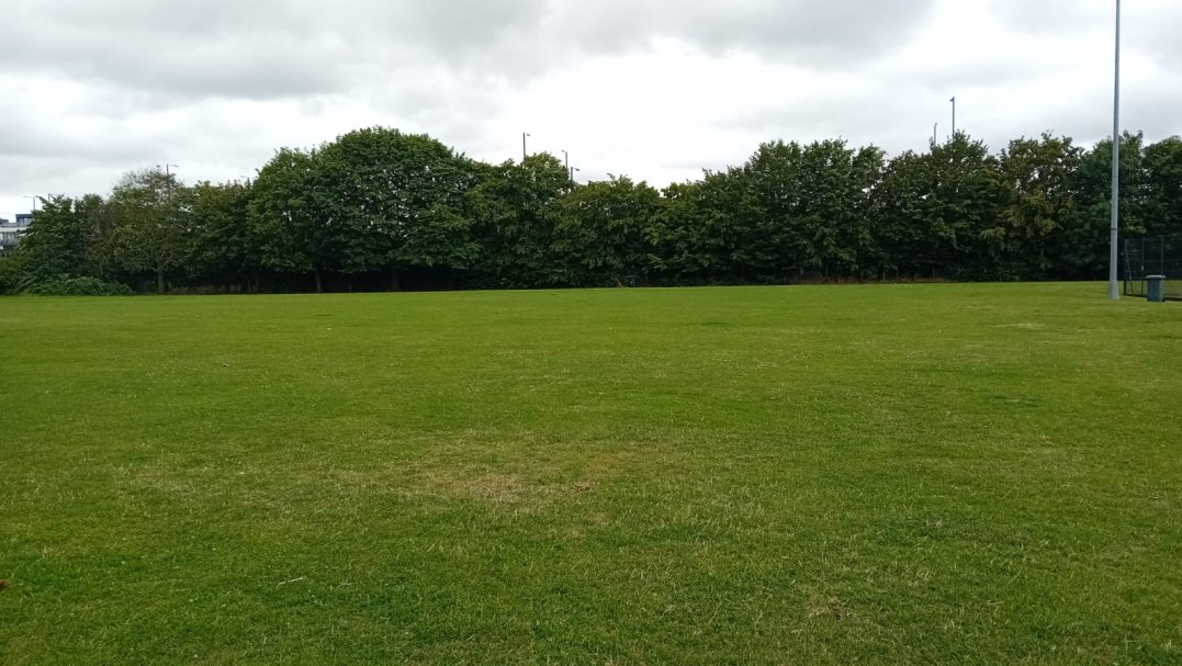 Grass Field at Windsor Boys School in Windsor