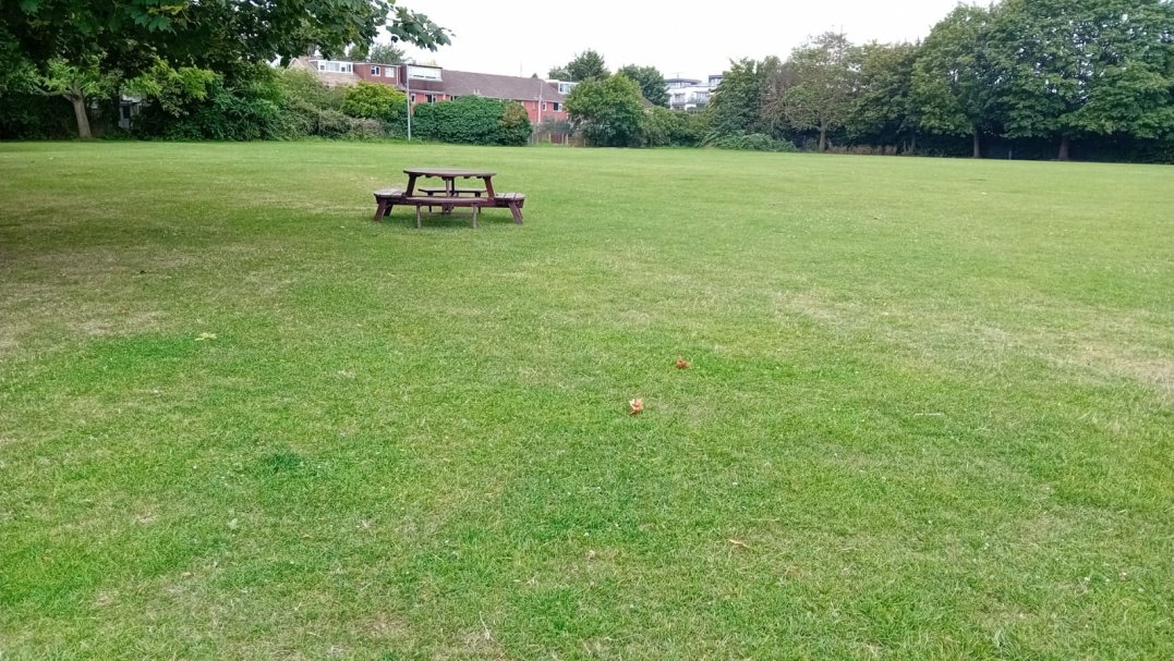 Grass Field at Windsor Boys School in Windsor