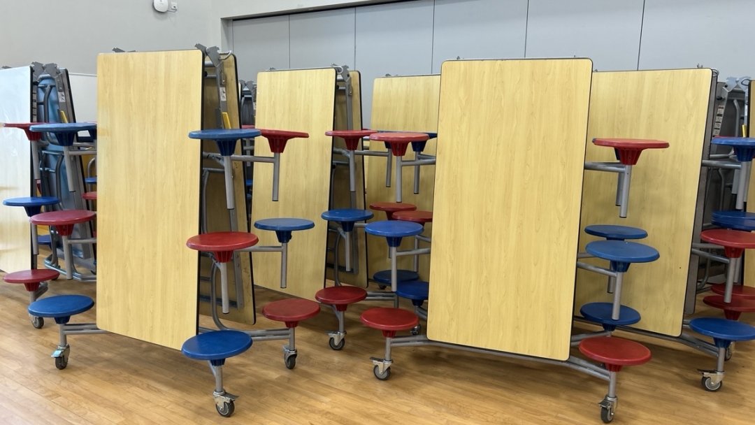Theatre at Harris Primary Academy Purley Way in Croydon