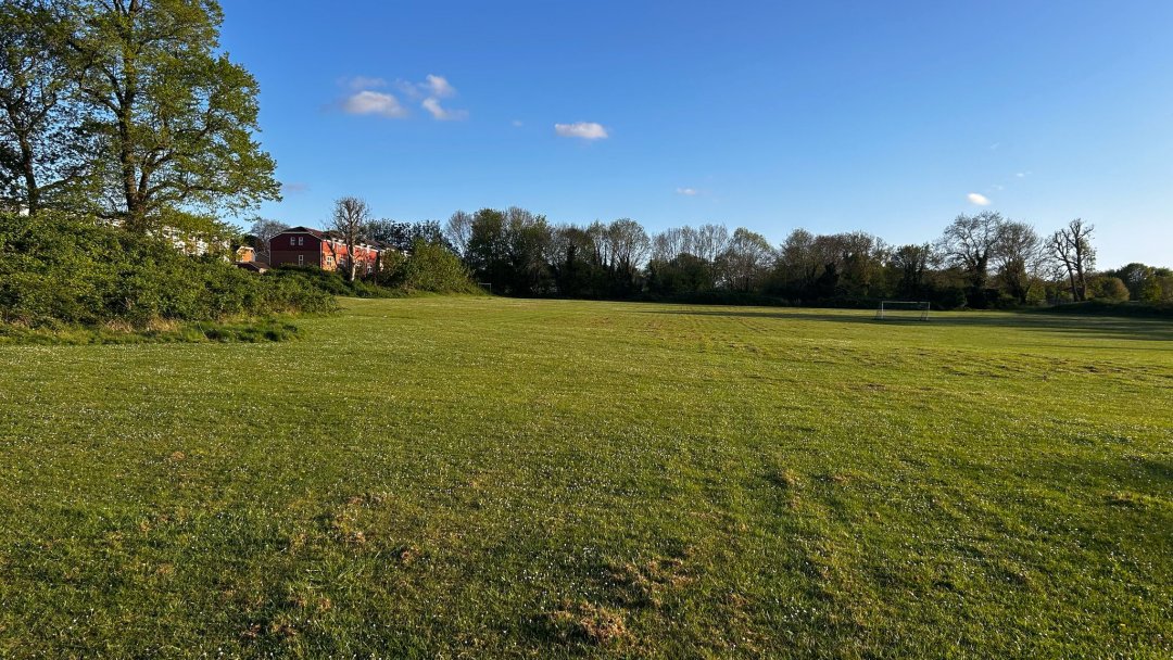 Grass Football Pitch at Harris Academy Purley in South Croydon