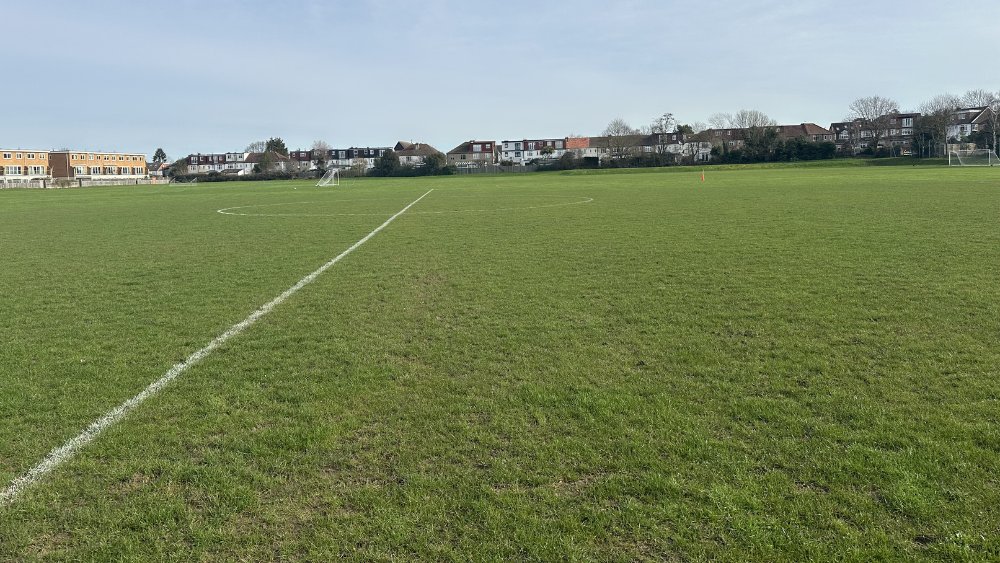 Grass Pitch 2 at Raynes Park High School in London
