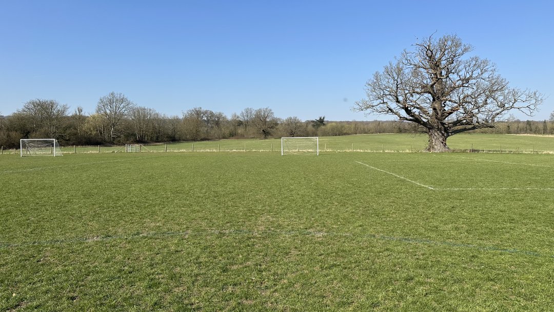 Grass Pitches at Radnor House in Kent
