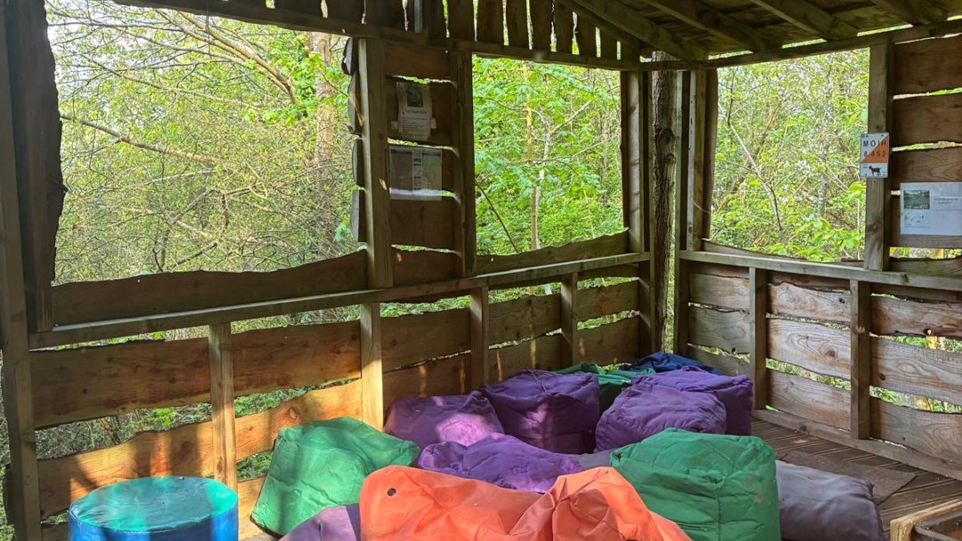 Woodland Learning & Wellbeing Space at Manor House Primary School in Cheshire