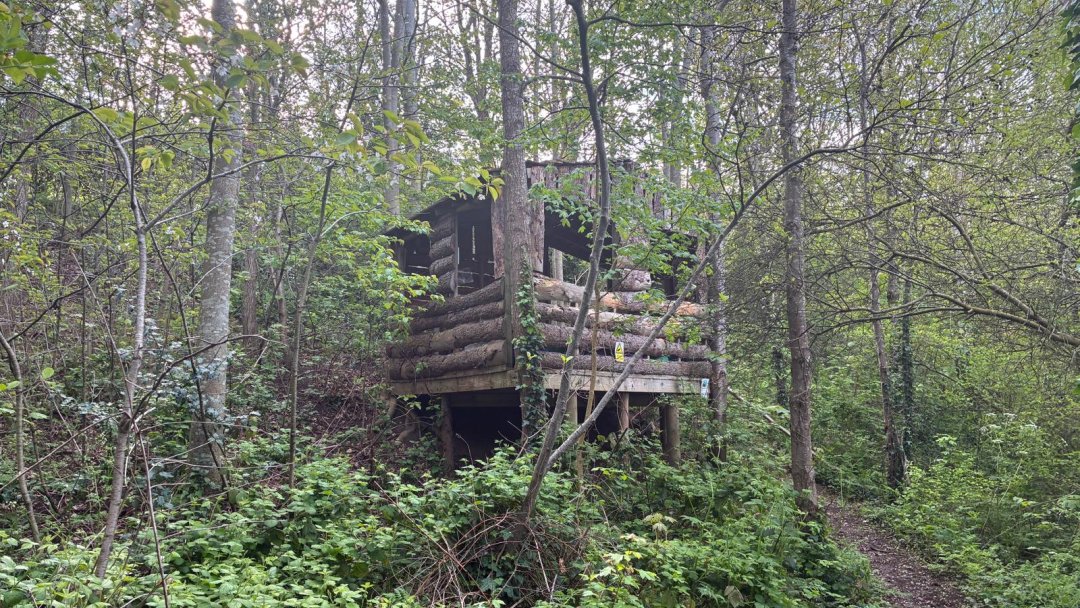 Woodland Learning & Wellbeing Space at Manor House Primary School in Cheshire