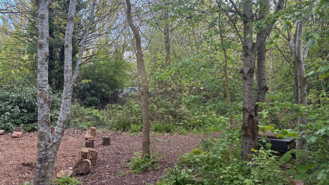 Woodland Learning & Wellbeing Space at Manor House Primary School in Cheshire