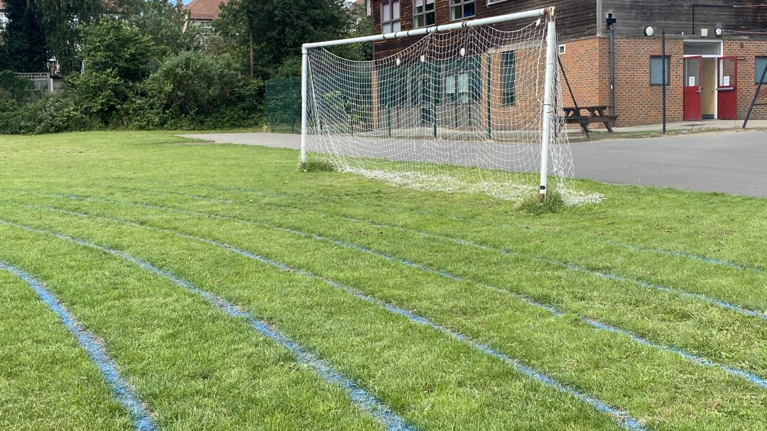 Grass Pitch at Wanstead High School in London