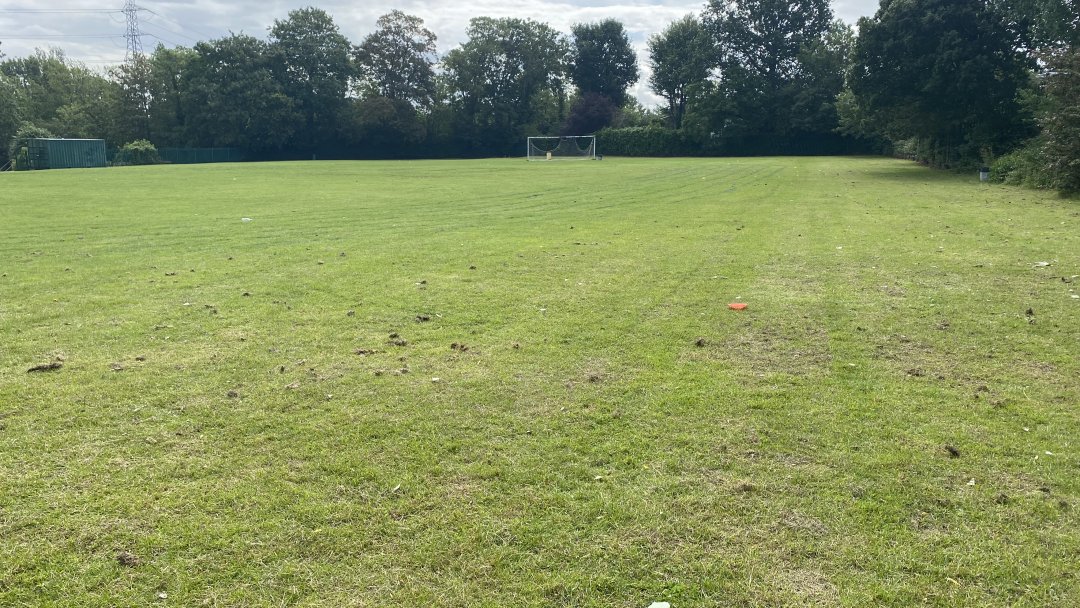 Grass Pitch at Wanstead High School in London