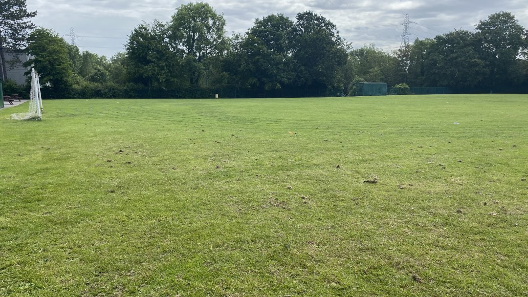 Grass Pitch at Wanstead High School in London