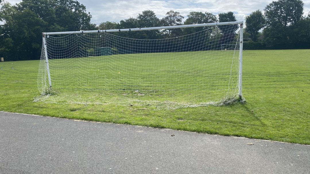 Grass Pitch at Wanstead High School in London