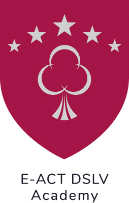 E-ACT DSLV Academy